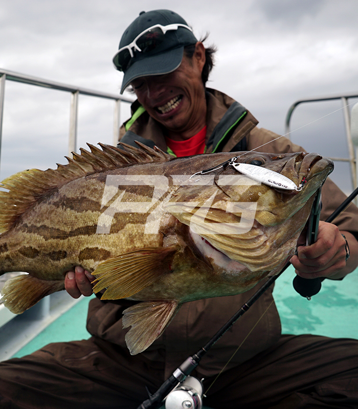 DECOY Twin Pike DJ-88 – PROSTASH Fishing Goods